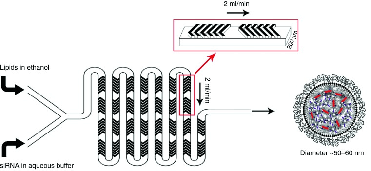 采用交錯(cuò)人字形微混合器的 LNP-siRNA 配制過(guò)程示意圖
