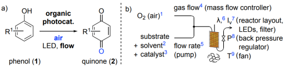 圖 1 使用加壓空氣、可見光和有機光催化劑對苯酚進行有氧流動氧化