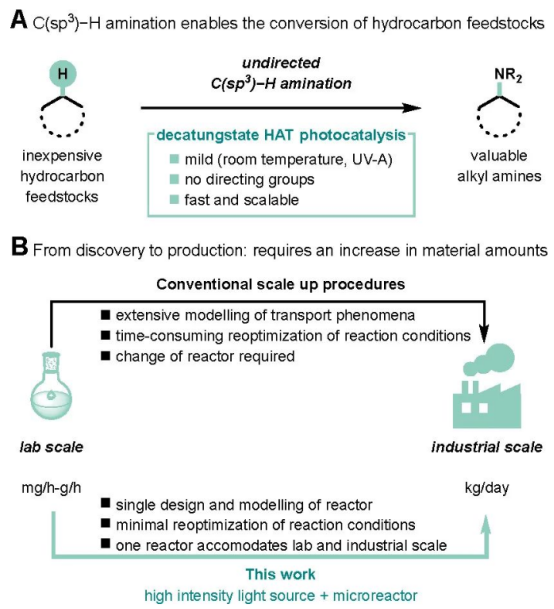 圖1.光催化C(sp3)-H鍵胺化及放大。