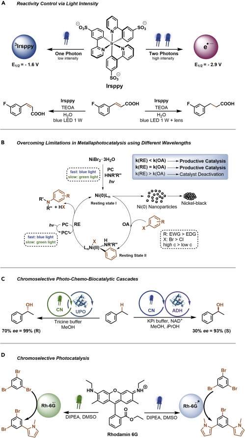 圖 5.通過(guò)控制光子的能量和強(qiáng)度來(lái)獲得不同的光催化活性(A-D)通過(guò)光強(qiáng)度 (A)控制銥光催化劑的反應(yīng)性。 通過(guò)改變波長(zhǎng)（B）來(lái)克服使用氮化碳光催化的金屬光催化的局限性。與氮化碳光催化劑 (C) 的色選擇性光化學(xué)酶促級(jí)聯(lián)反應(yīng)。羅丹明 6G (D)的色選擇性光催化。