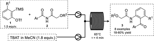 圖1.連續(xù)流Aryne–Imide Insertion