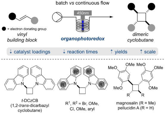 使用有機光氧化還原催化的 [2+2]-環(huán)加成在連續(xù)流動條件下形成二聚環(huán)丁烷