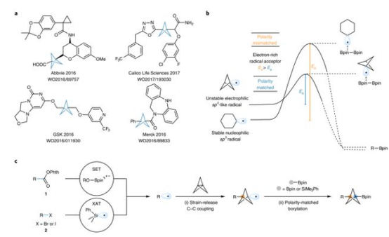 Fig.1含BCP骨架的藥物及[1.1.1]螺槳烷雙官能團(tuán)化反應(yīng)設(shè)計（圖片來源：Nat. Chem.）