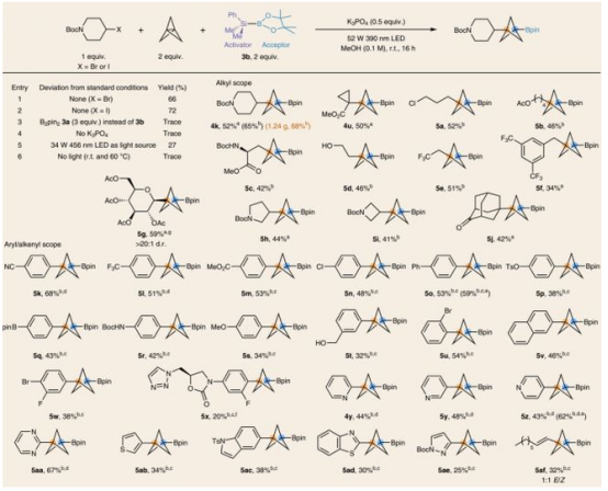 Table3.鹵代物合成BCP-硼酸衍生物（圖片來源：Nat. Chem.）