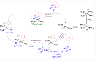 有機鋅試劑在連續(xù)流化學中的應(yīng)用：根岸耦合