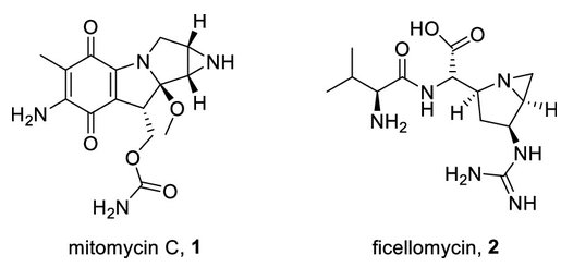 圖 1. 絲裂霉素和非昔羅霉素的結(jié)構(gòu)。