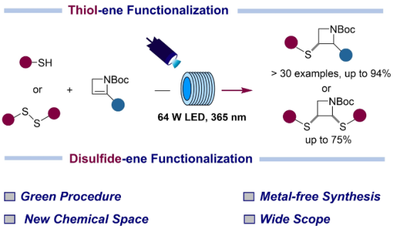 通過硫醇和二硫化物連續(xù)流光化學加成在氮雜環(huán)丁烷環(huán)上形成C-S鍵