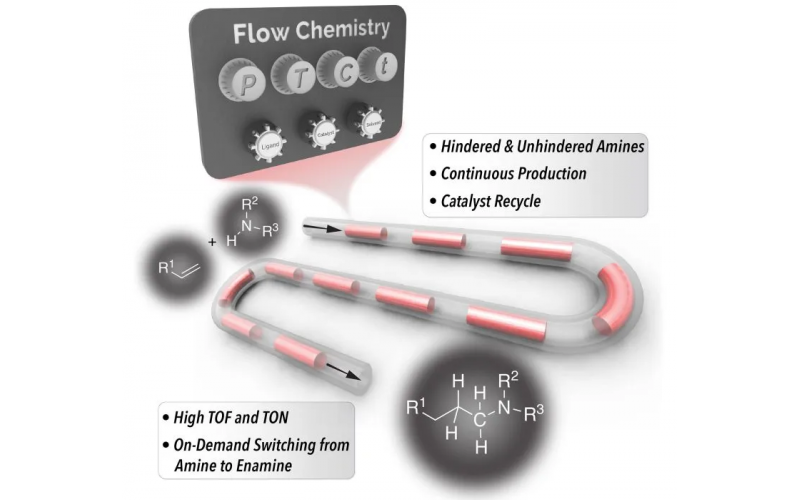 更便宜、更快速的連續(xù)生產(chǎn)胺類化合物的新方法——許多產(chǎn)品中使用的化學(xué)基礎(chǔ)材料